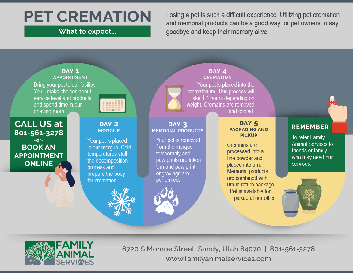 pet-cremation-process-how-are-pets-cremated-utah